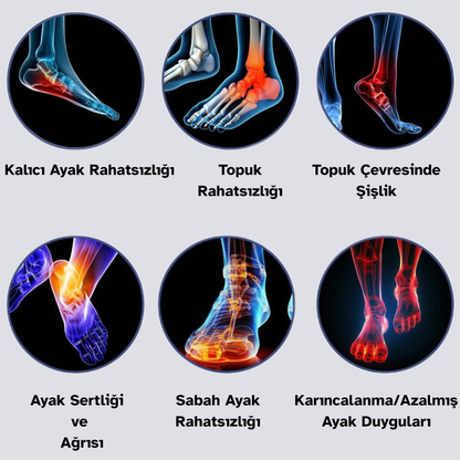 Ayak